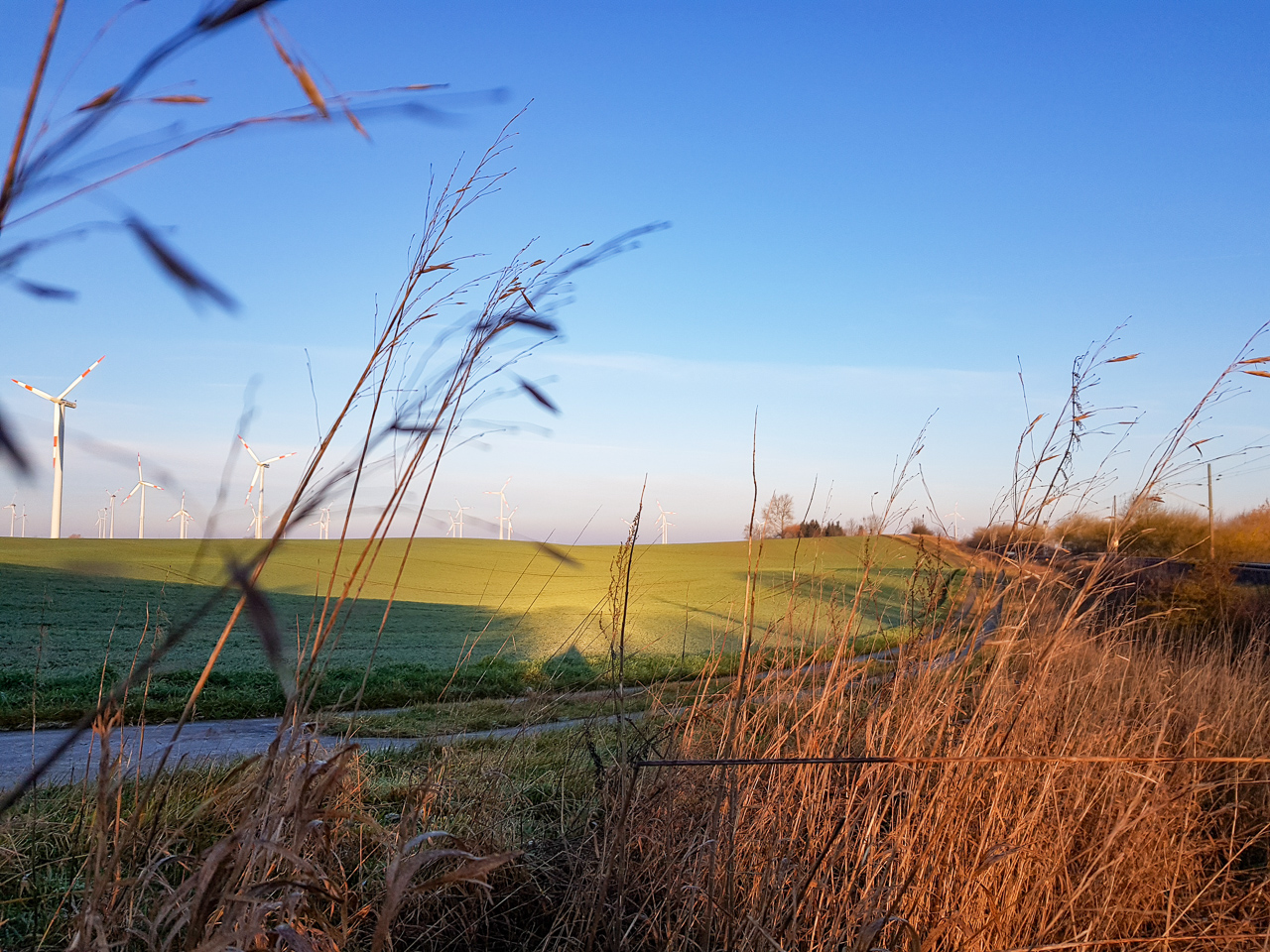 Karriere Bei Adwind Renewables